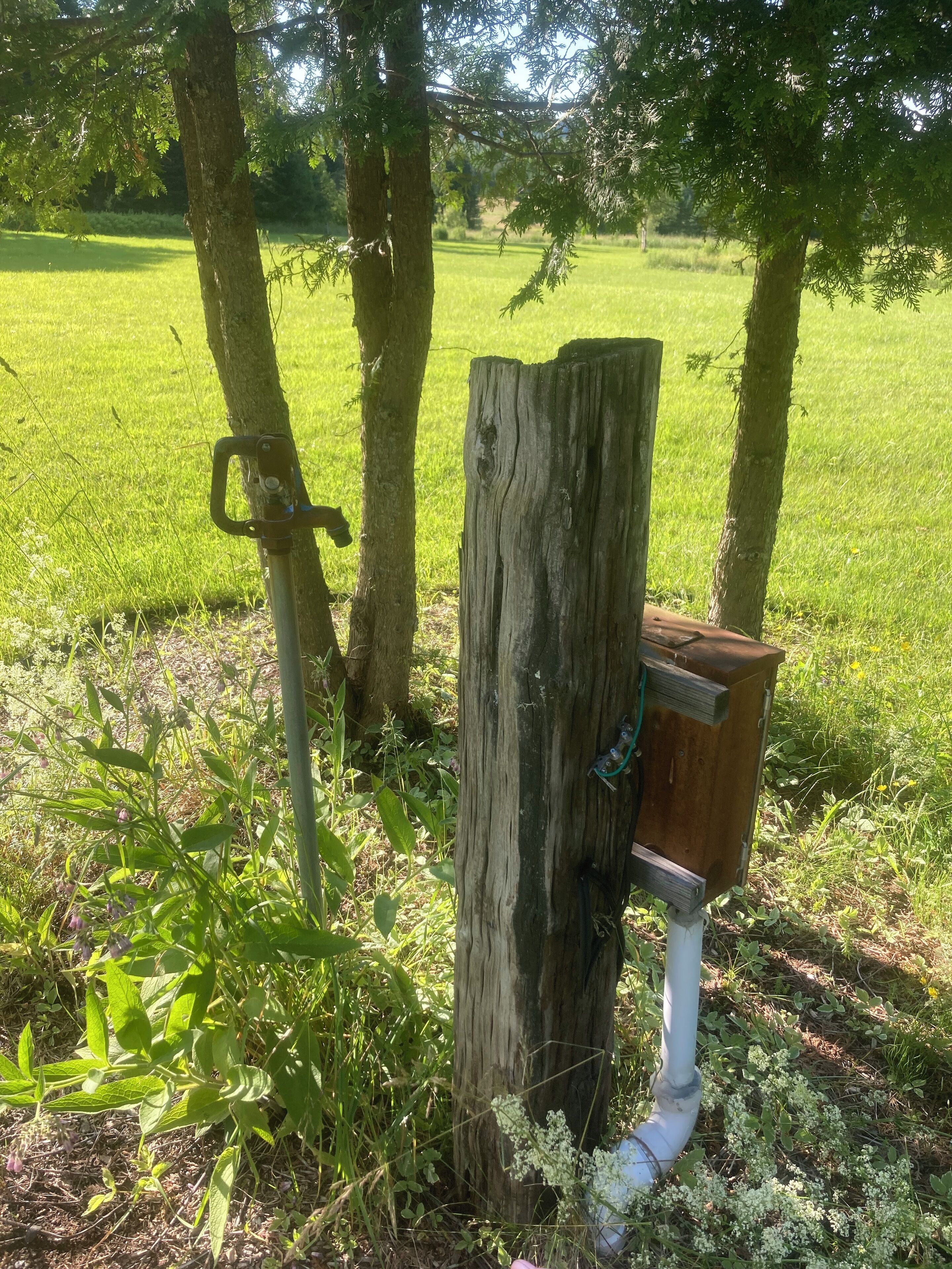Un poste de madera con un buzón y un soporte metálico, rodeado de follaje y árboles.
