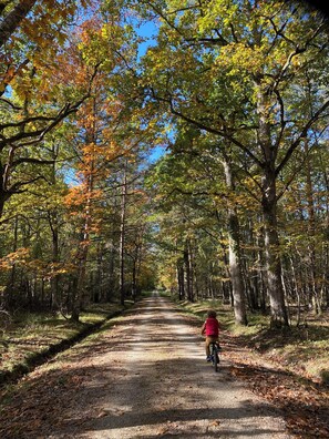 Bicycling - Les Hayes en Sologne (Fontaines-en-Sologne)