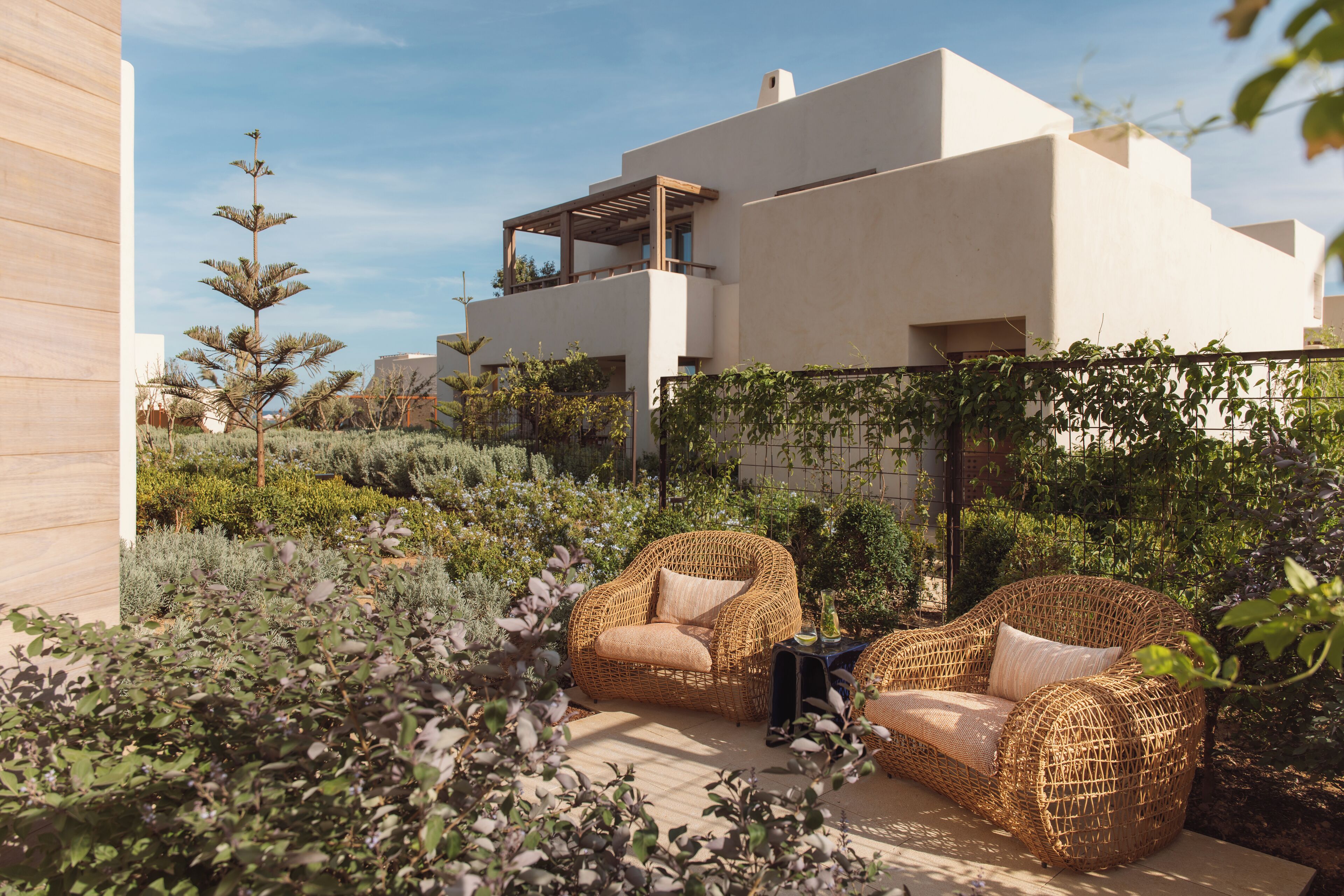 Deluxe Suite | Terrace/patio