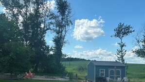 Une petite maison à un seul étage, à l’extérieur bleu et dotée d’un toit en métal, entourée d’un champ herbeux et d’arbres.
