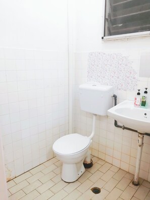 Secador de cabelo, toalhas de banho, sabonete, shampoo