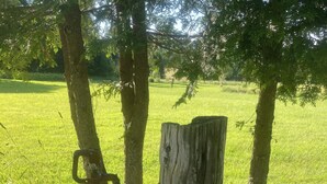 A wooden post with a mailbox and a metal bracket, surrounded by greenery and trees. - Throw your tent anywhere on property (Westmore)