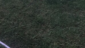 A fire pit with logs and rocks, surrounded by grass. - Throw your tent anywhere on property (Westmore)