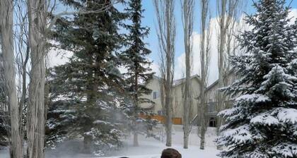 Arbour Lake 3BR2BA Family Retreat w/ Hot Tub, Games Room, BBQ, Yard C-Air — Sleeps 8