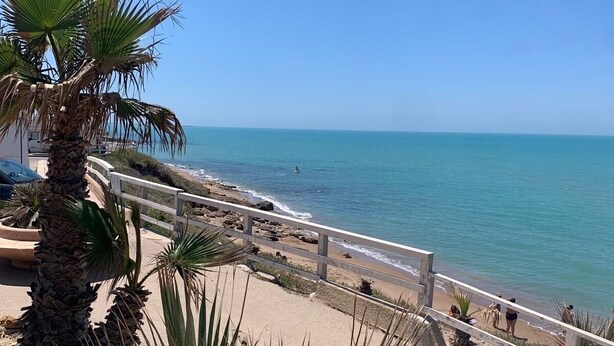 A coastal road with a beach, palm trees, and a clear blue sky.