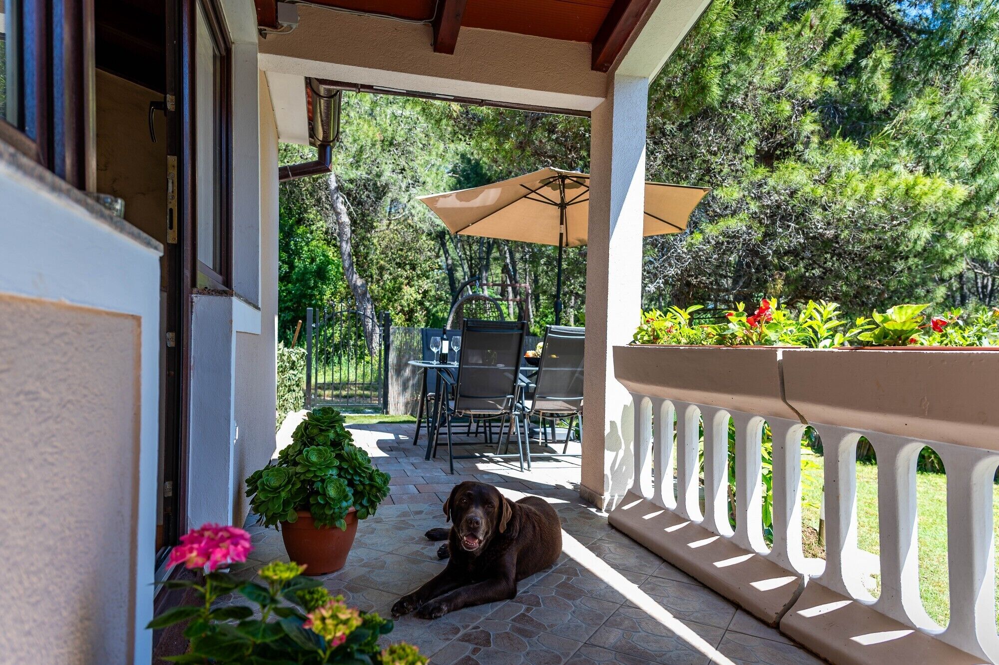 屋外ダイニングエリア