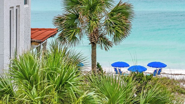 Une vue sur la côte, avec un bâtiment blanc, des palmiers et une plage parsemée de parasols bleus.