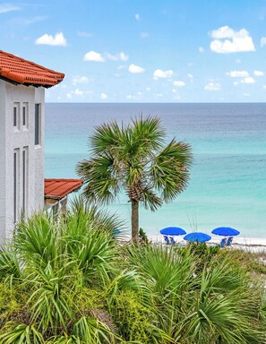 A coastal view with a white building, palm trees, and a beach with blue umbrellas.