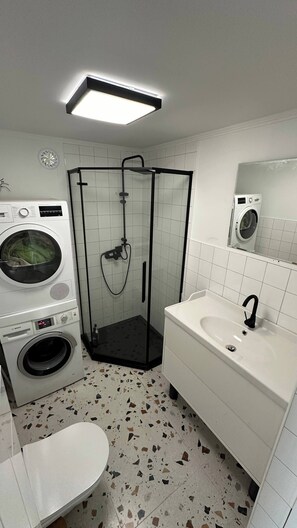 Hair dryer, soap, shampoo, toilet paper