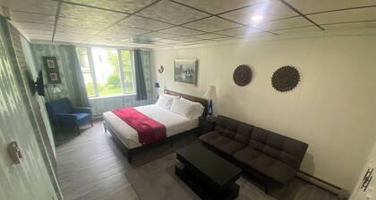 Cozy 2-bedroom apartment in enjoyable Elkader with AC, WiFi, view of downtown