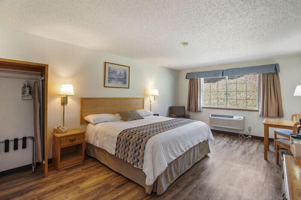 Standard Single Room | Blackout drapes, iron/ironing board, free WiFi