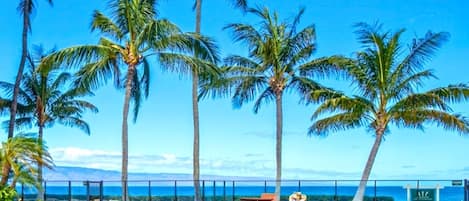 Una piscina techada, una piscina climatizada