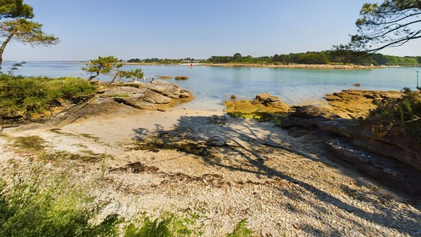 Una spiaggia con acque cristalline, costa rocciosa e alberi.