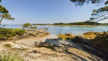 Plage à proximité