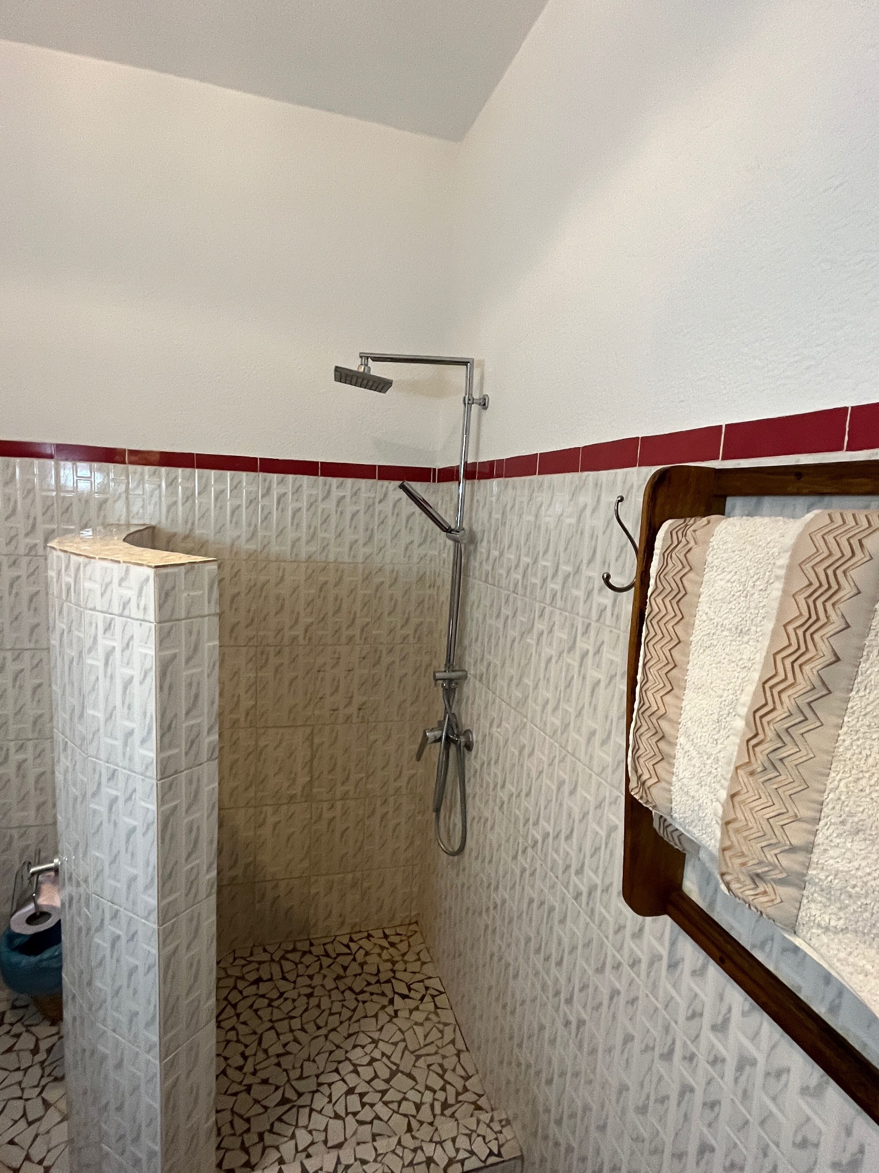 A small, tiled shower area with a handheld showerhead and a wall-mounted faucet.