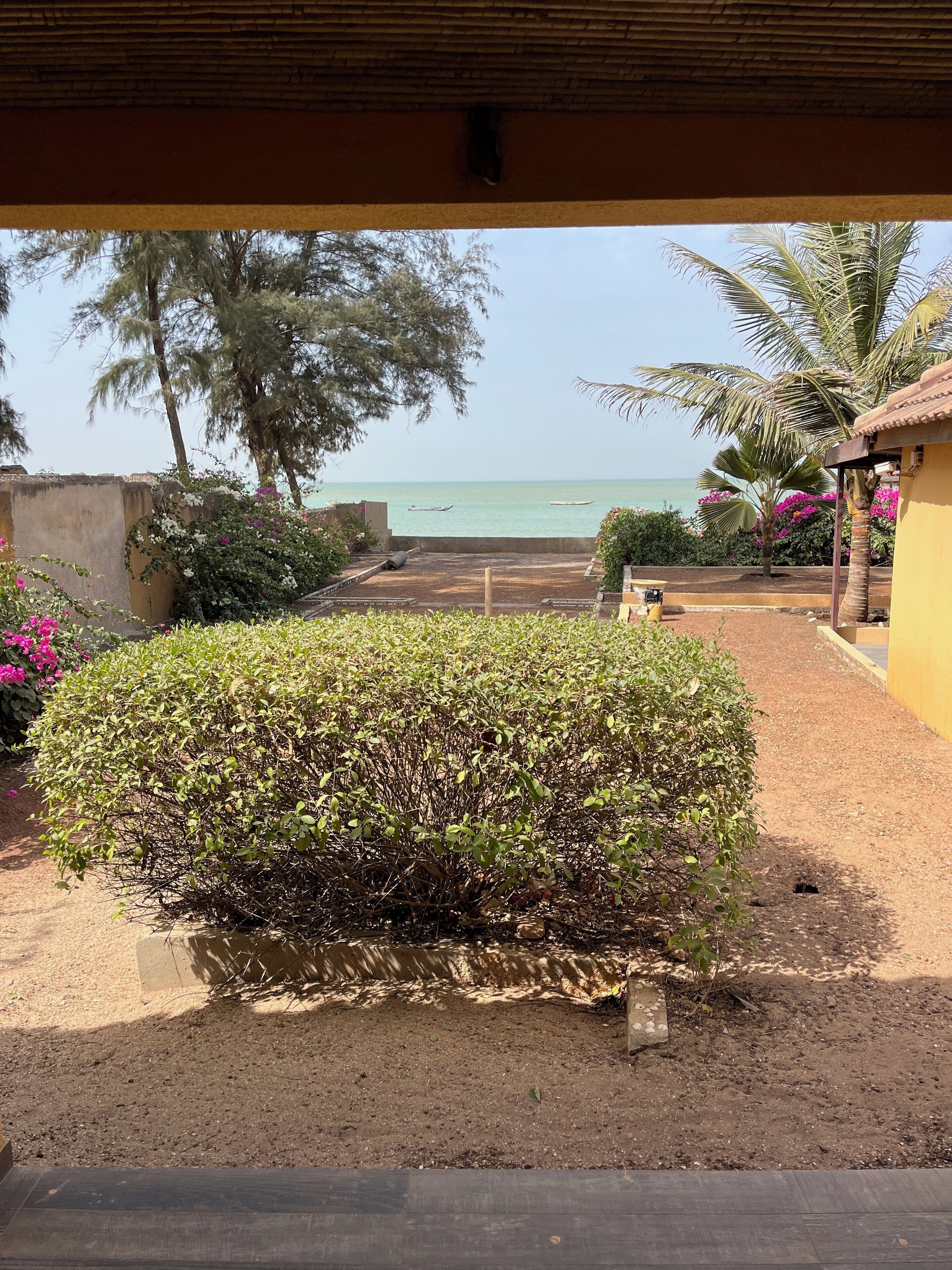 A view of a beach from a covered area with a small garden and a palm tree.