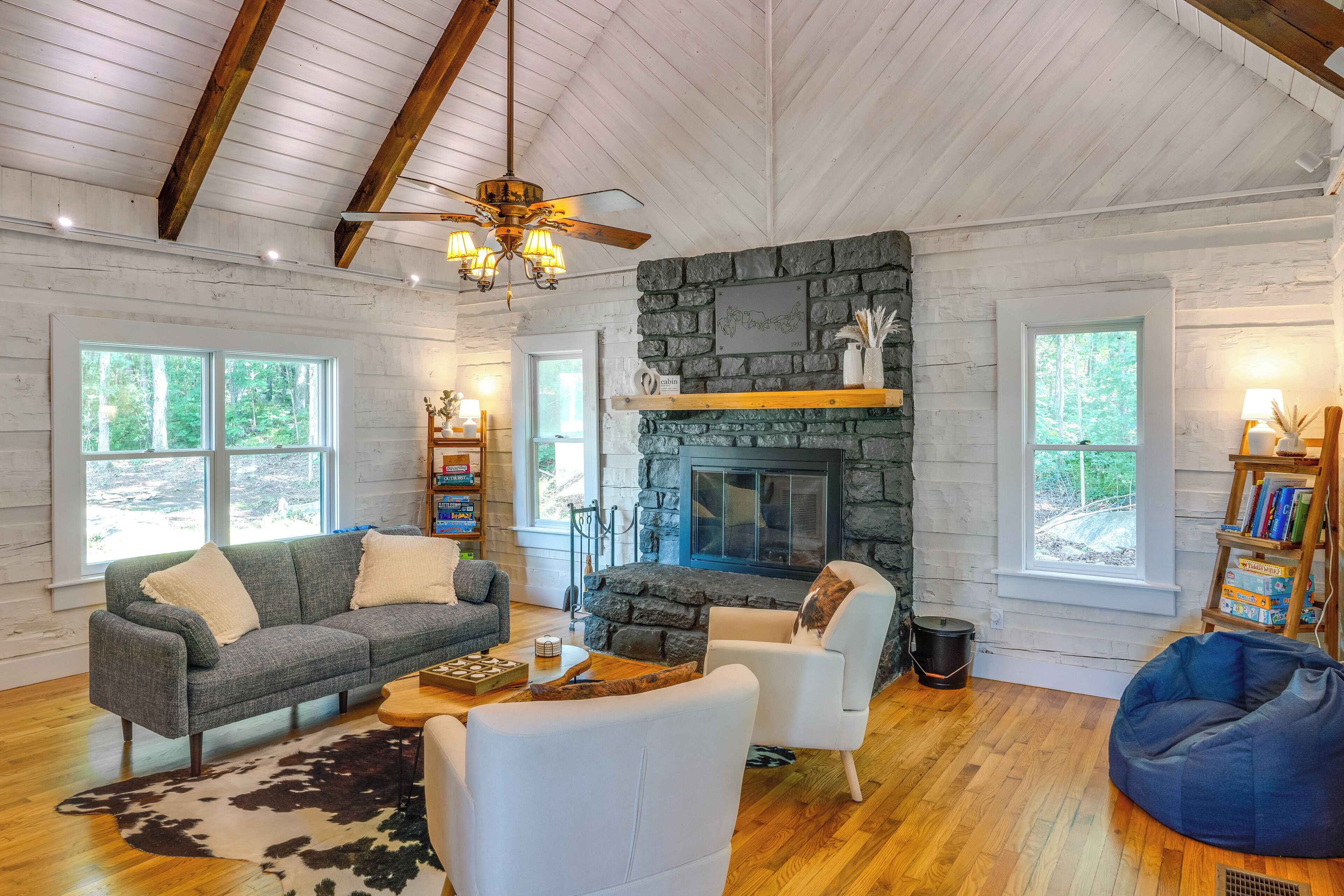 TV, fireplace, books