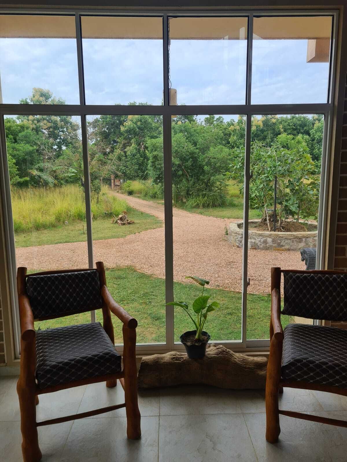 Una habitación con dos sillas de madera frente a un ventanal que da a un jardín con un camino de grava y follaje.