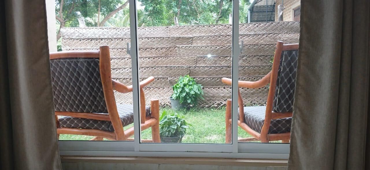 A view through a window with two wooden chairs and a potted plant in a garden area.