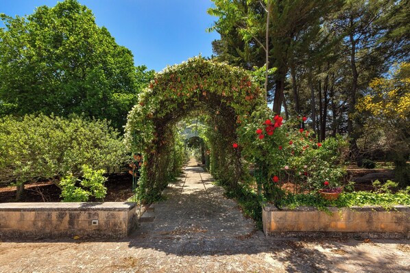 Property grounds - Villa Rodio by BarbarHouse (Ceglie Messapica)