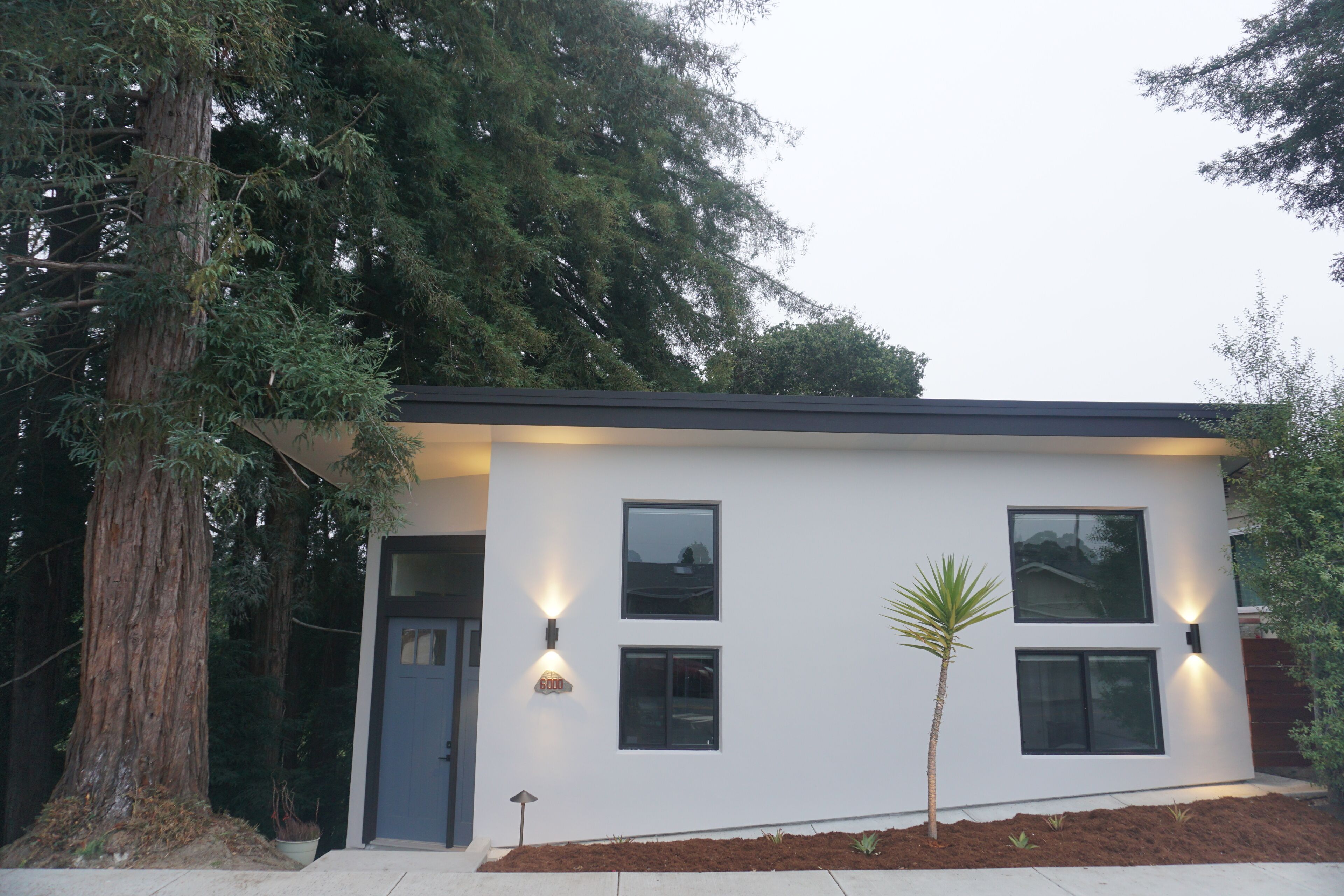 New Build, 1-bedroom house with AC full-kitchen nestled in redwoods 5 M to beach