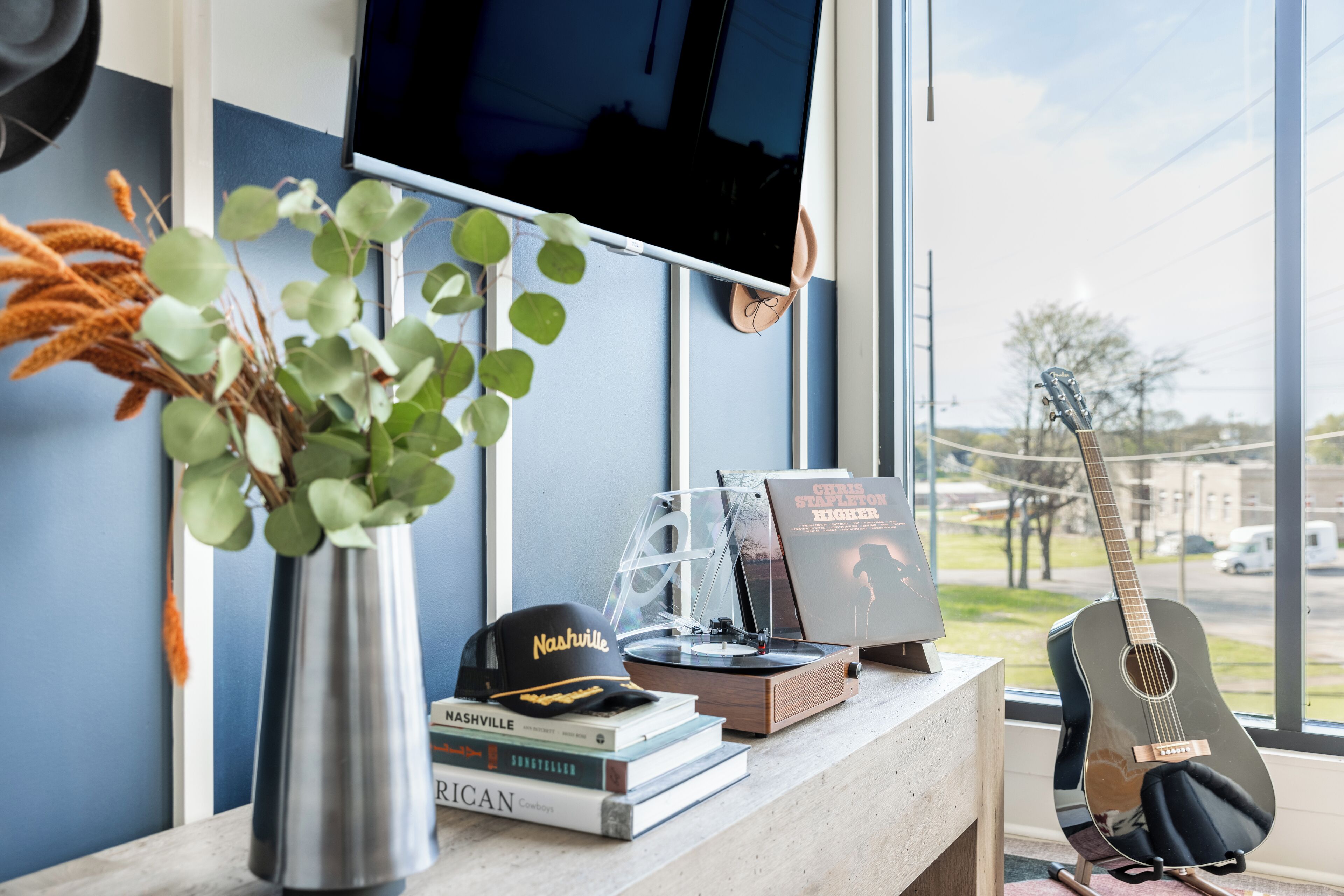A room with a TV, a guitar, books, a cap, and a plant on a shelf.