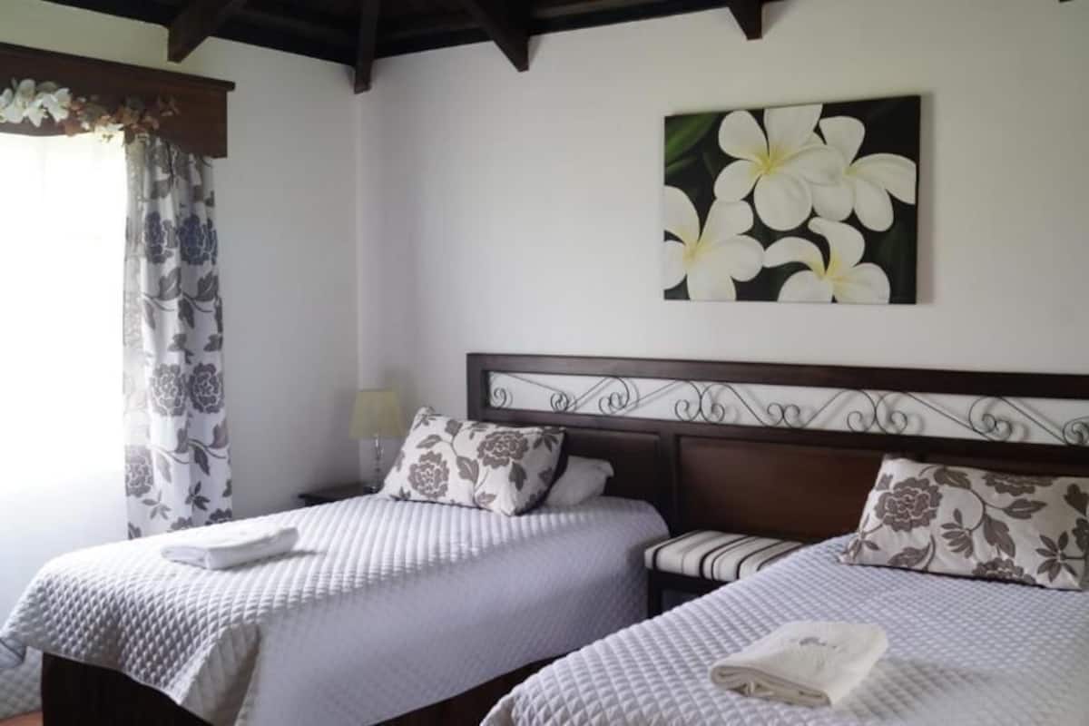Hotelkamer met twee bedden, elk voorzien van hoofdbord en kussens, een raam met gordijnen en een aan de muur hangend schilderij.