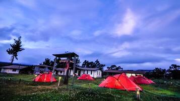 A campsite with red tents and a wooden structure in the center.
