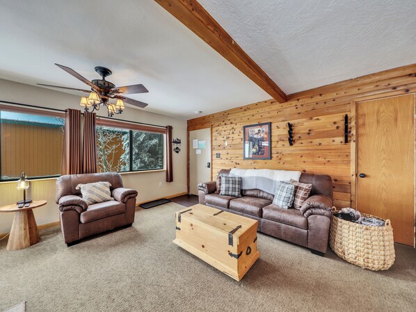 Smart TV, fireplace, video games, DVD player