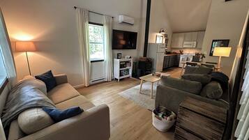 Smart TV, fireplace, books