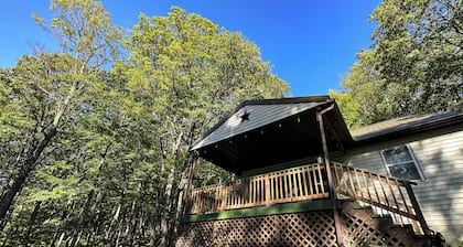 Moose Knob Cabin - Maysville