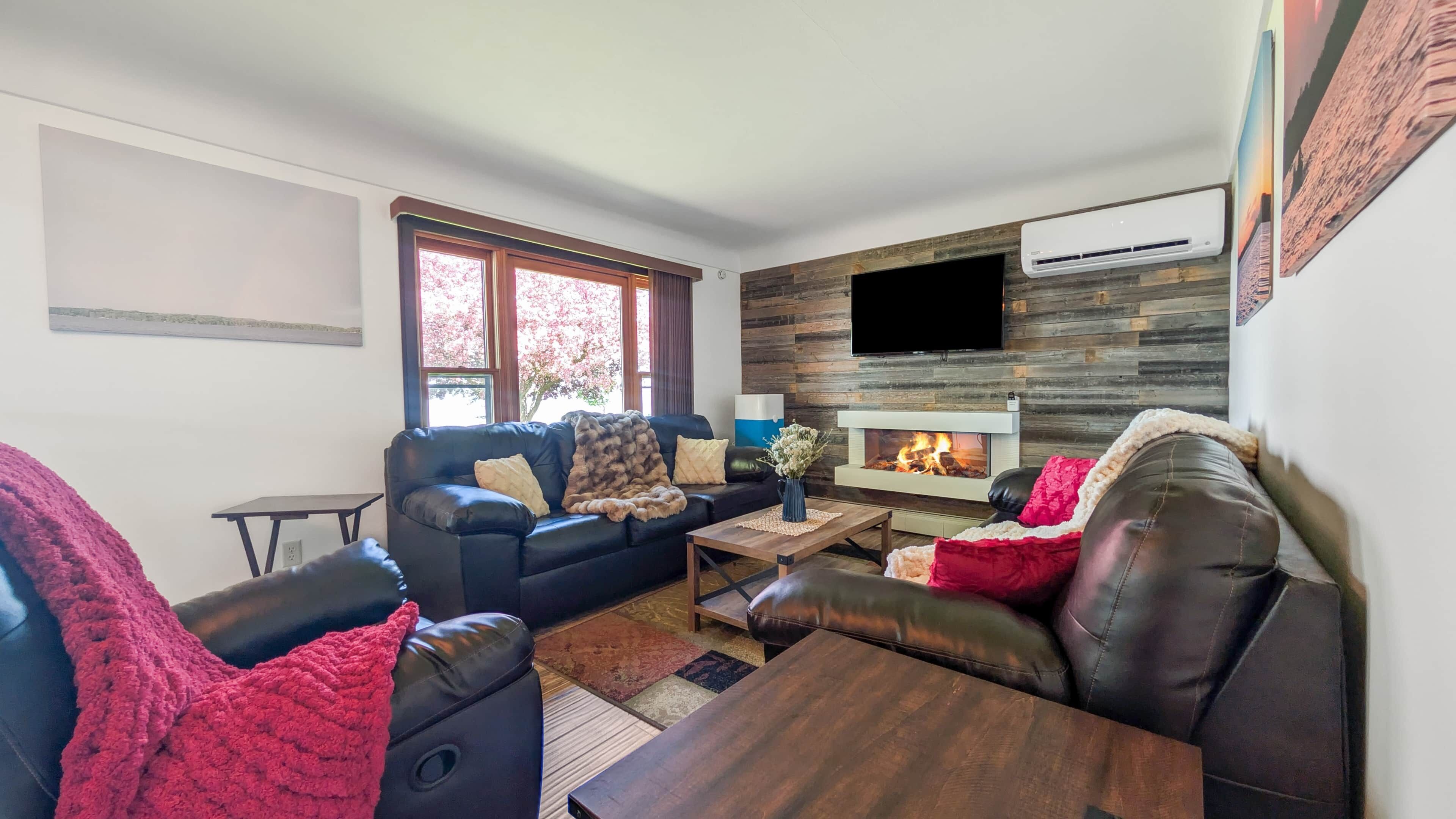TV, fireplace, books