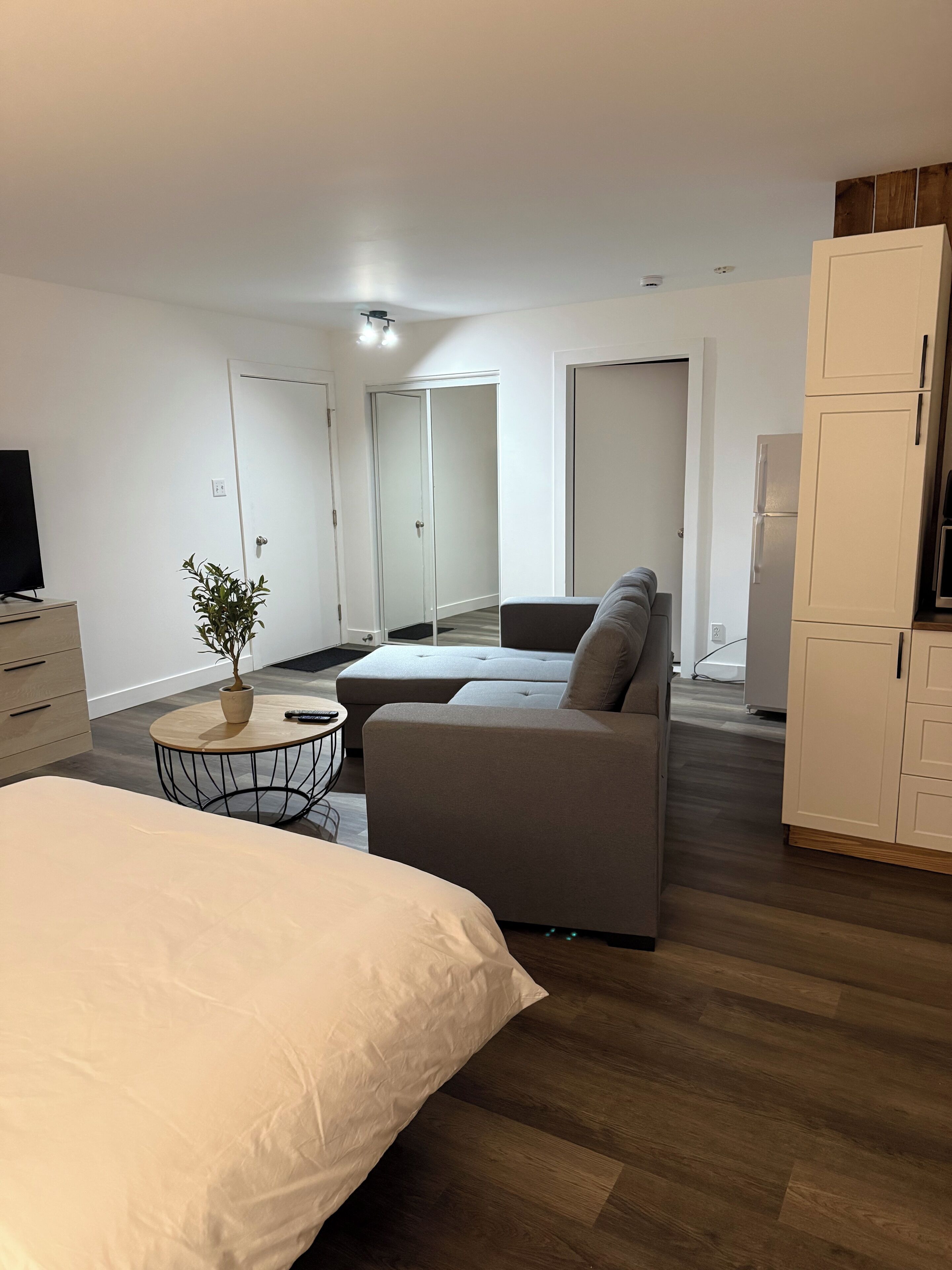Quarto de hotel moderno com uma cama grande, um sofá, uma pequena mesa redonda com uma planta e um guarda-roupa.