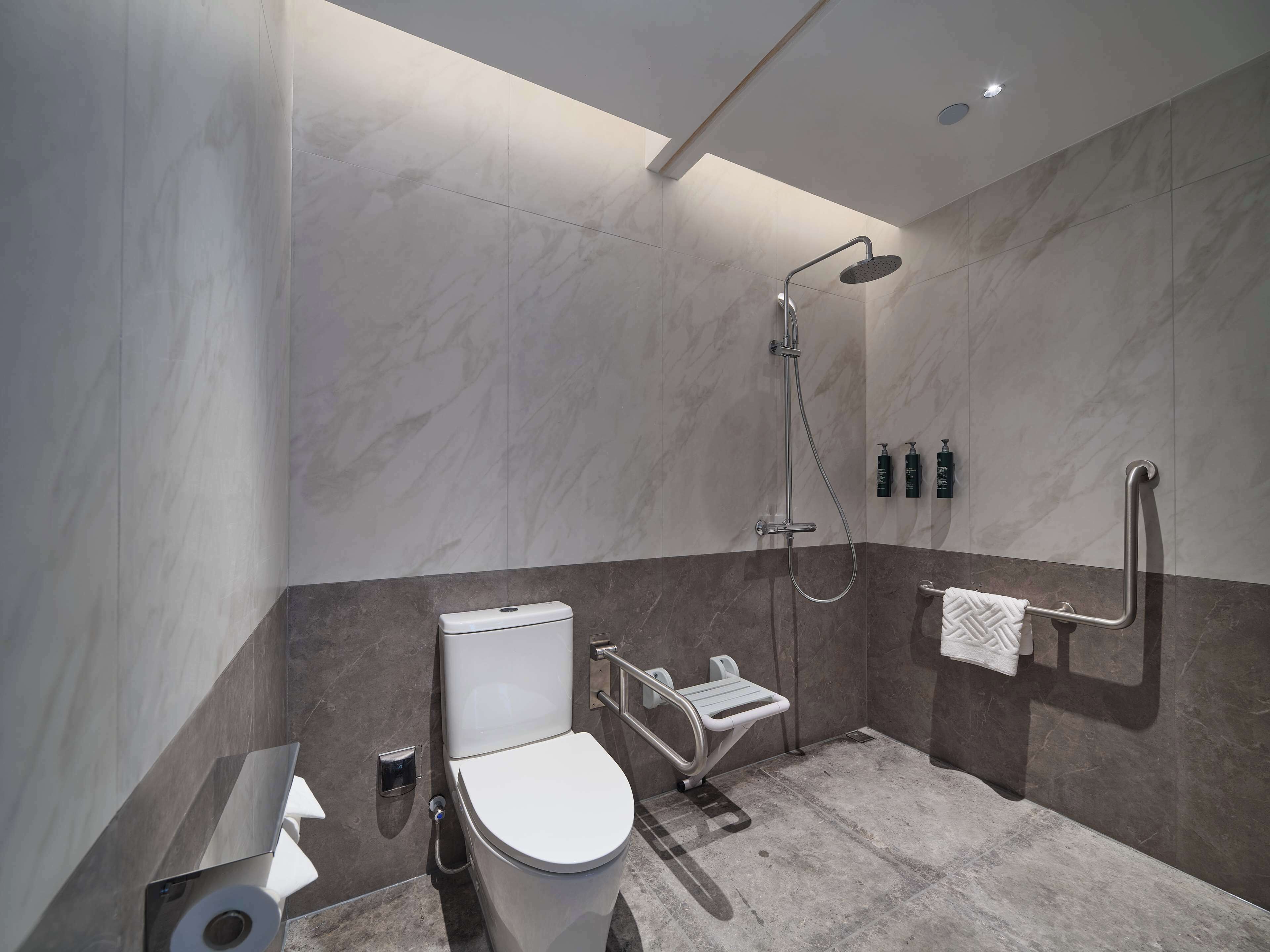 A modern bathroom with a toilet, a shower, and a handrail.