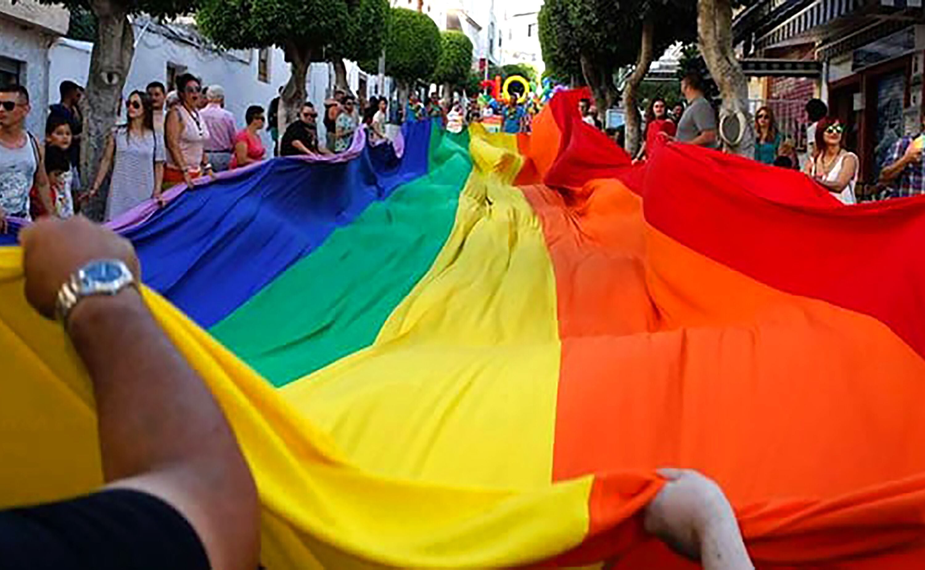 A person holding a rainbow flag.