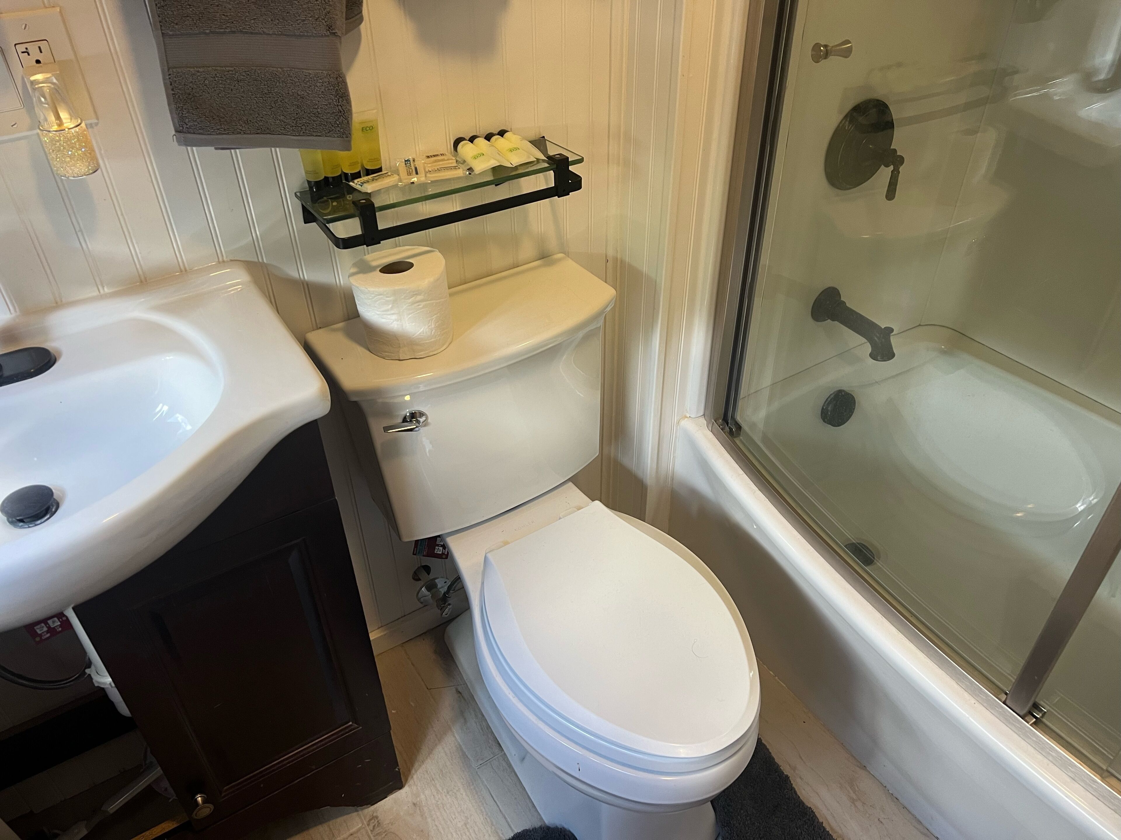 Towels, soap, shampoo, toilet paper