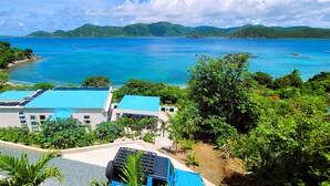 A coastal property with a view of the sea, a paved driveway, and solar panels on the roof. - BEACHFRONT 5 BEDROOM VILLA–POOL, SOLAR, PRIVATE (East End)