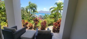 A balcony with wicker furniture and a view of a tropical garden and ocean. - BEACHFRONT 5 BEDROOM VILLA–POOL, SOLAR, PRIVATE (East End)