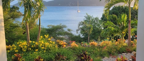A view of a coastal area with a boat on the water, surrounded by lush greenery and a bench.