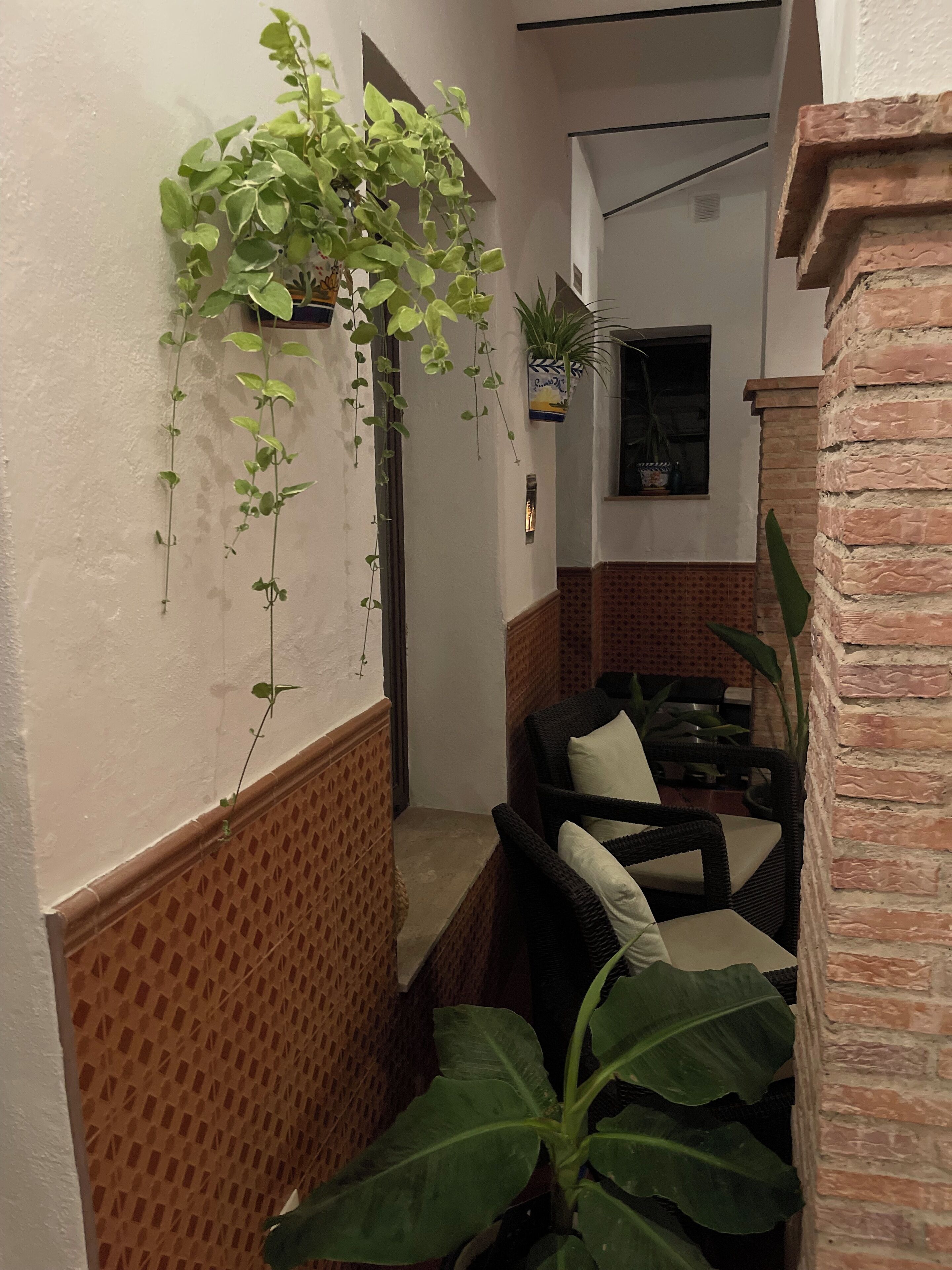 A narrow corridor with a wicker chair and a large plant.