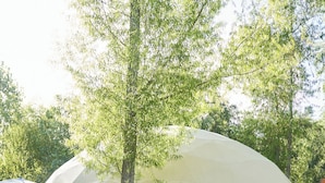 A transparent dome structure with a wooden deck and tables.