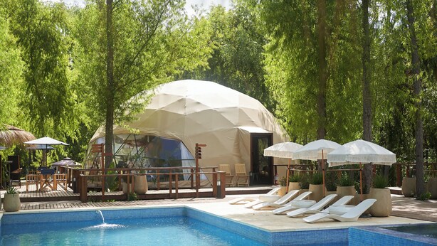 A swimming pool with lounge chairs and umbrellas, surrounded by trees and a large tent structure.