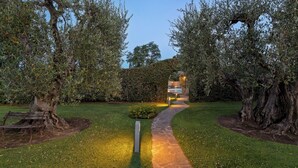 A pathway leading to a building surrounded by olive trees and a hedge. - Villa Castiglione 9, Emma Villas (Castiglione della Pescaia)