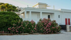 Ein modernes, weißes Gebäude mit flachem Dach, einem kleinen Balkon und einem Garten mit rosa Blumen.