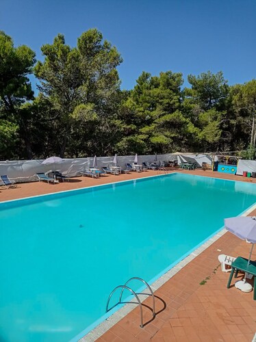 La Giulietta - Tortorella