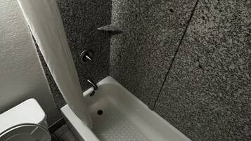 Une salle de bain avec une baignoire, des toilettes et une douche.