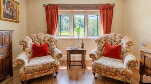 电视、壁炉、DVD 播放器