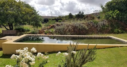 Wine Farm In Napier Village - Peaceful Sleep and Fresh Air