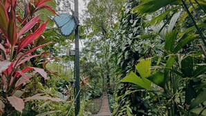 A pathway through a lush garden with various plants and a butterfly sculpture. - Morpho - adventurous Treehouse with amazing 360 view with pool and wifi access (Limón)