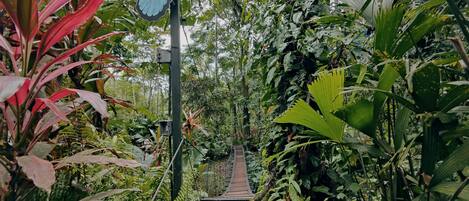 Enceinte de lâhĂ©bergement